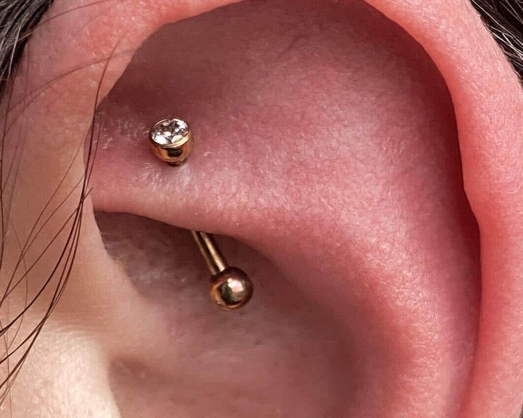 Haan veiligheid wekelijks Alles over de soorten oor piercings - inksanepiercing.com