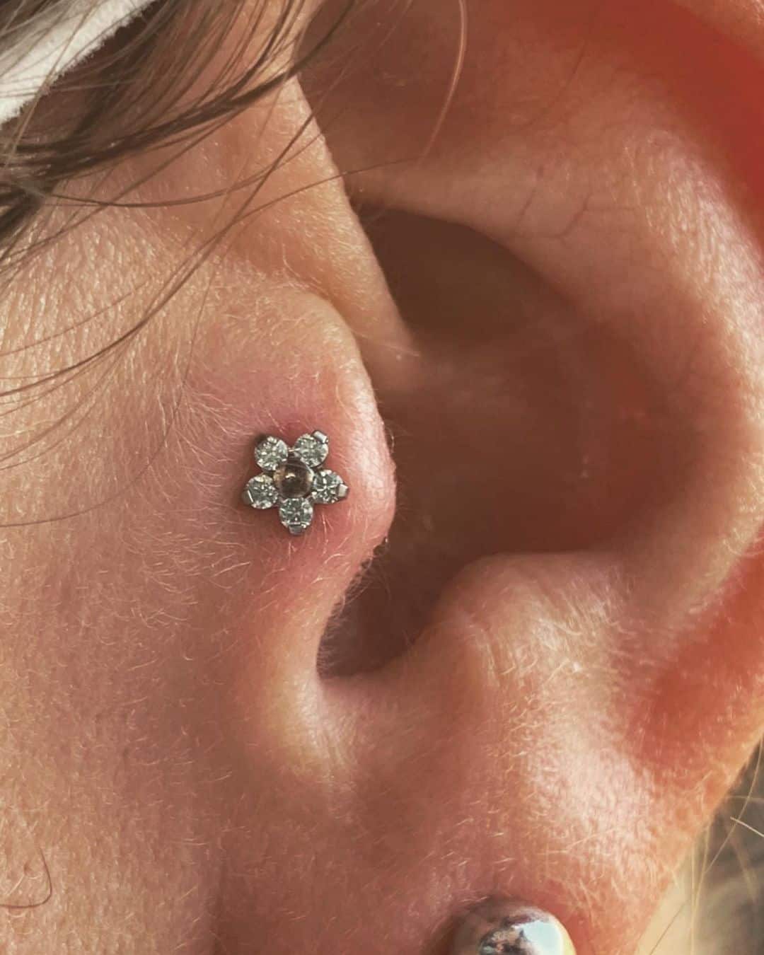 lepel Italiaans Dubbelzinnig Alles over de soorten oor piercings - inksanepiercing.com